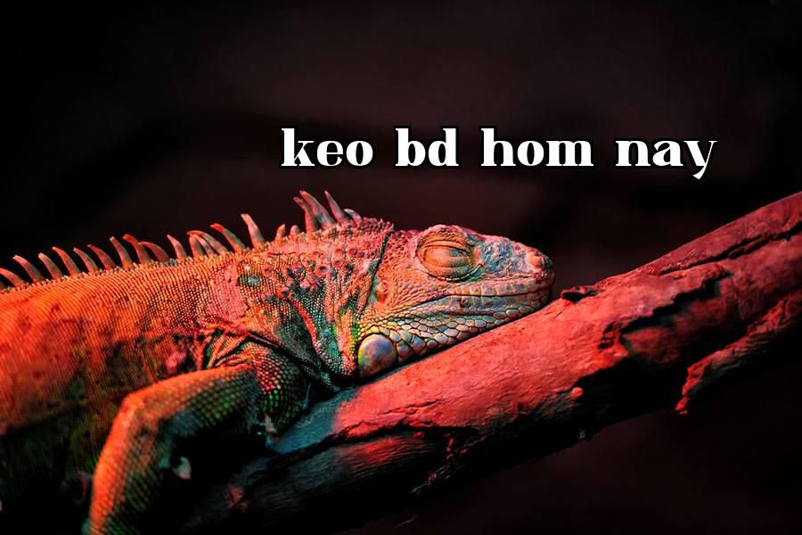 Bổ sung ánh sáng cho động thực vật