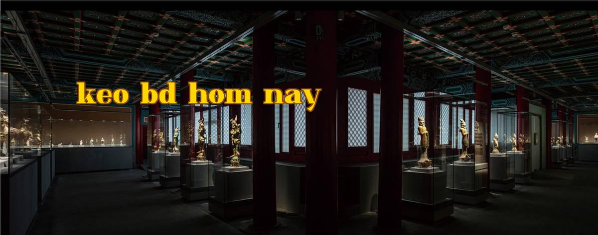 Phòng trưng bày 1 - Nghệ thuật trưng bày 1.jpg