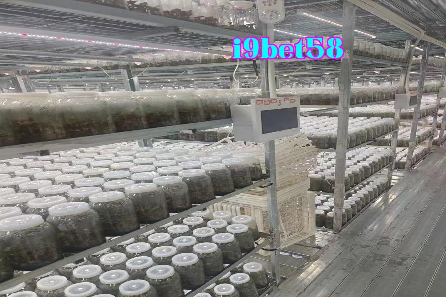 Đèn phát triển thực vật 08.jpg