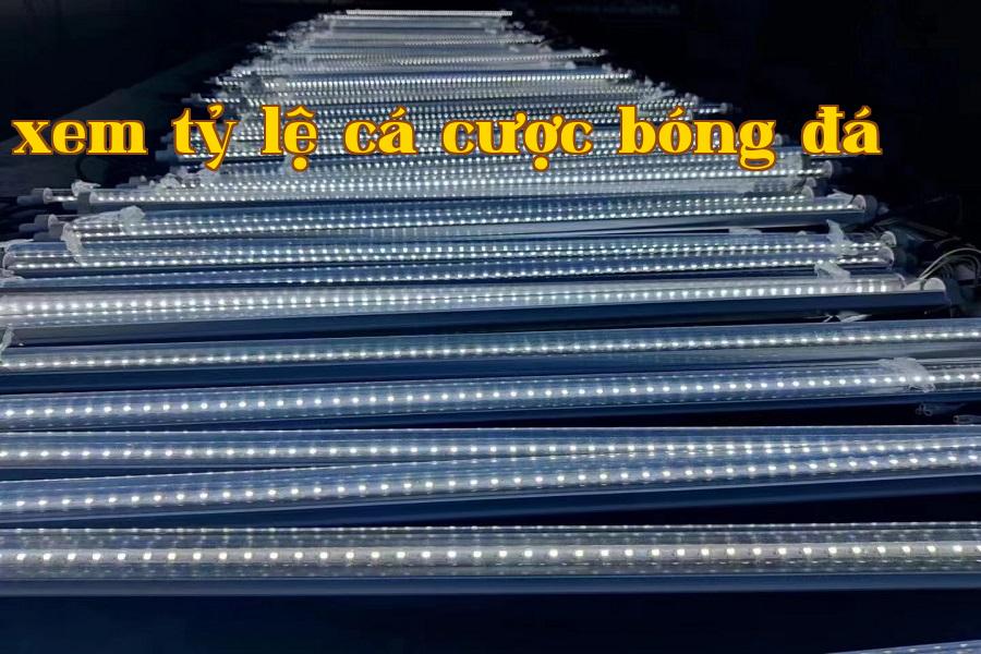 Đèn phát triển thực vật 04.jpg