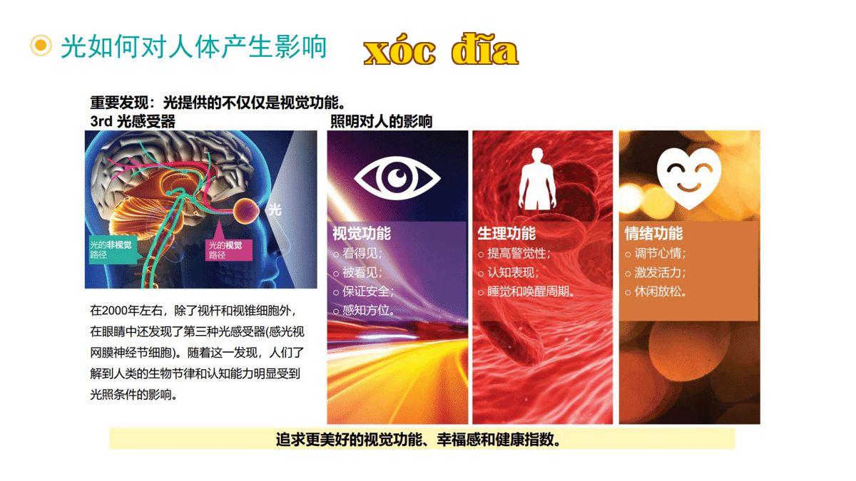 Ánh sáng ảnh hưởng đến cơ thể con người như thế nào-2.jpg