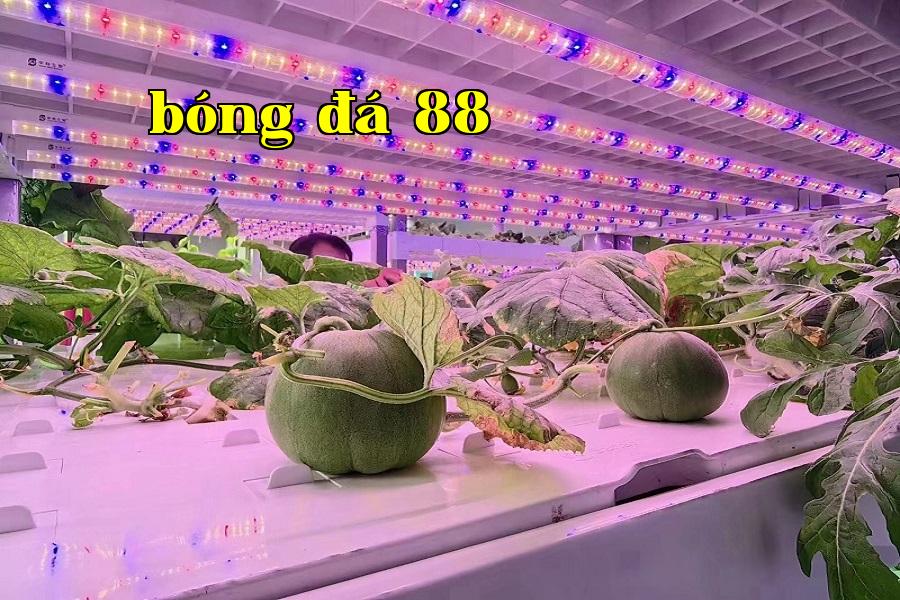 WeChat_IMG_20240809151903.jpg