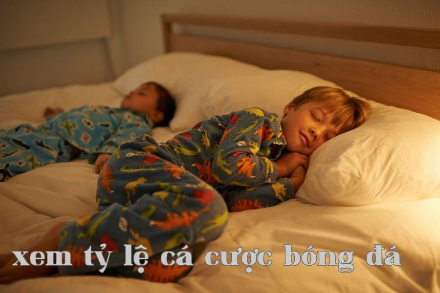 Chiếu sáng nhân bản
