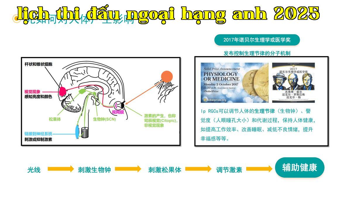 Ánh sáng ảnh hưởng đến cơ thể con người như thế nào-1.jpg