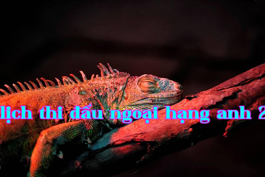 Bổ sung ánh sáng cho động thực vật 01