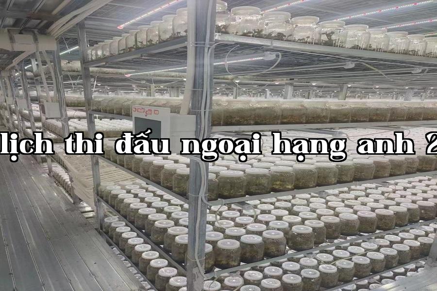 Đèn phát triển thực vật 07.jpg